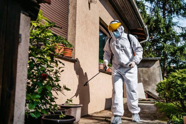 Best Affordable Pest Control Services  in Edmond, OK