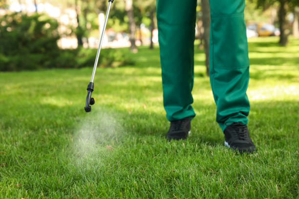 Pest Control Cost in Edmond, OK