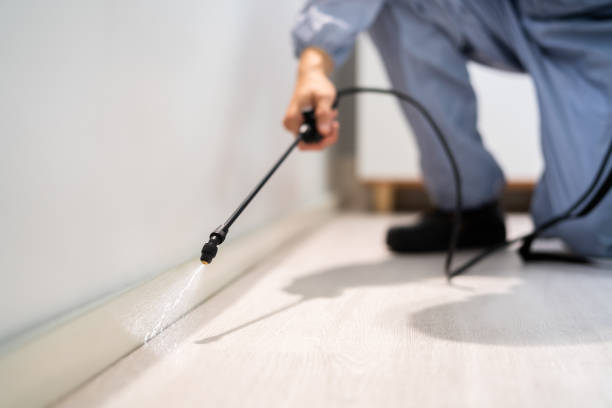 Best Pest Control Near Me in Edmond, OK
