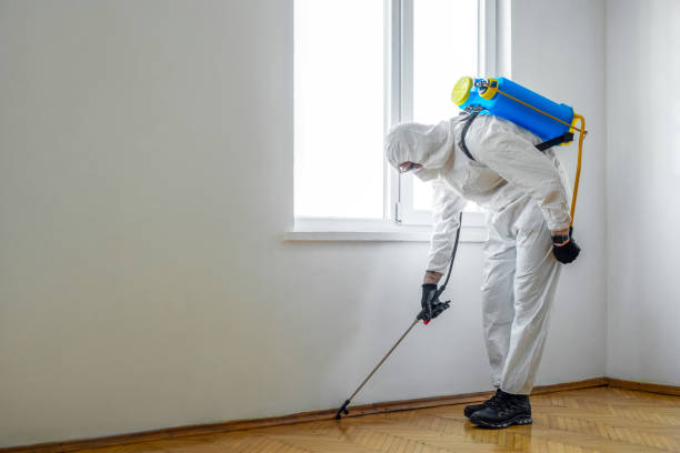 Best Spider Control Near Me  in Edmond, OK