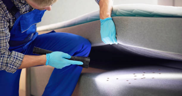 Best Pest Control Near Me  in Edmond, OK