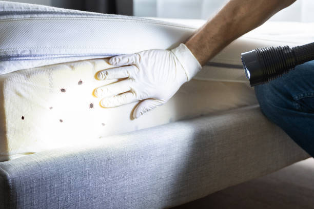 Pest Control for Restaurants in Edmond, OK