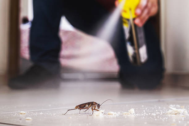 Edmond, OK Pest Control Company